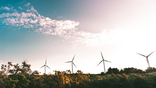 How to Master Sustainable Travel in 2020