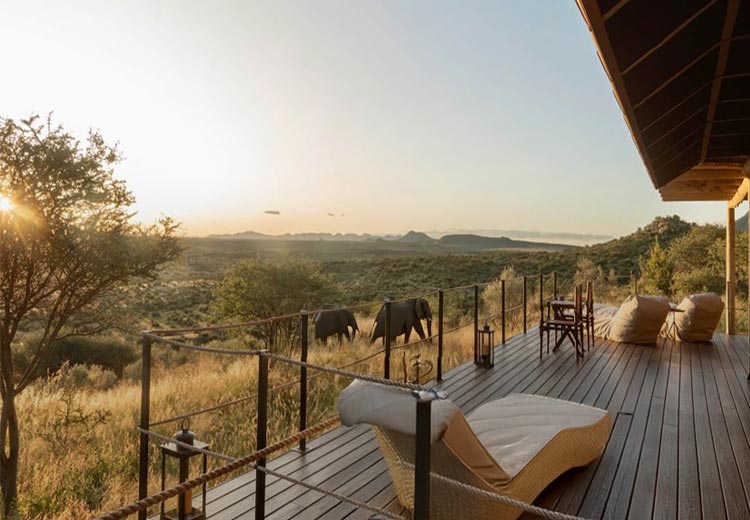 Serengeti Safari
