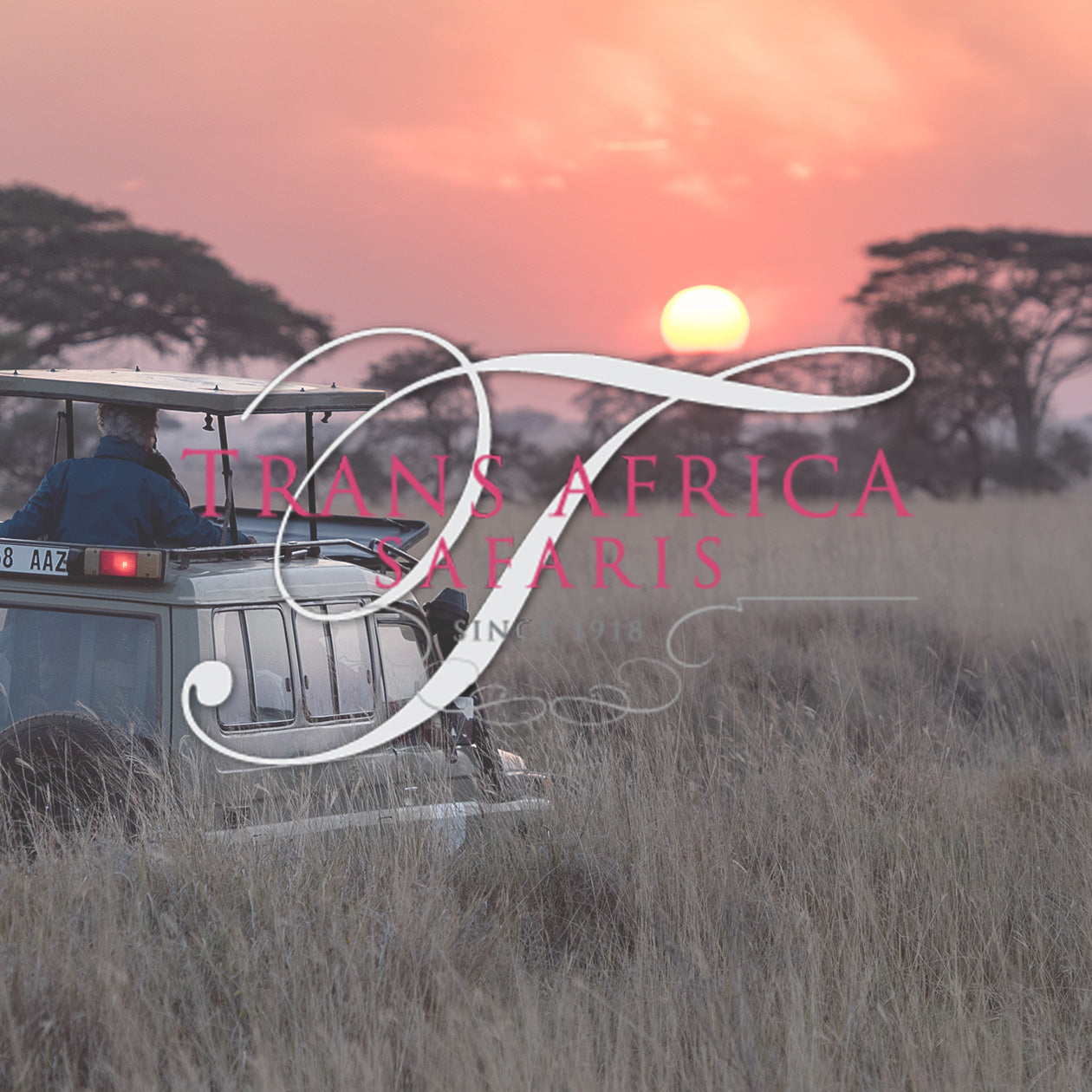 files/Trans_Africa_Logo.jpg