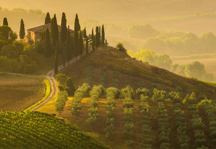 Tuscan Escape