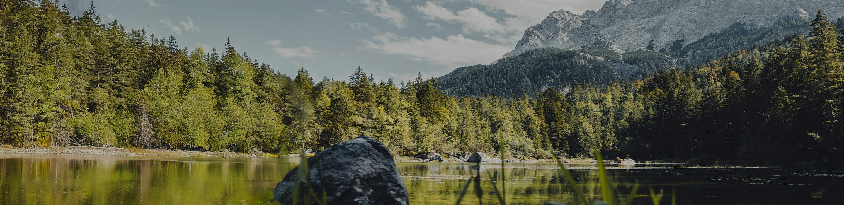 Vail Venture