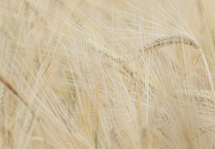 Color Spotlight: Wander In Wheat