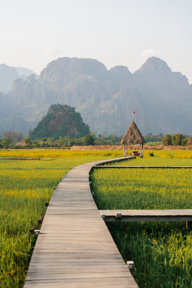 Experience Thailand 