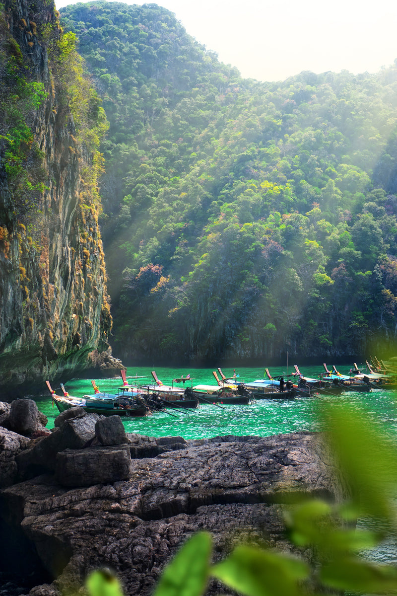 The Anatomie Thailand Edit